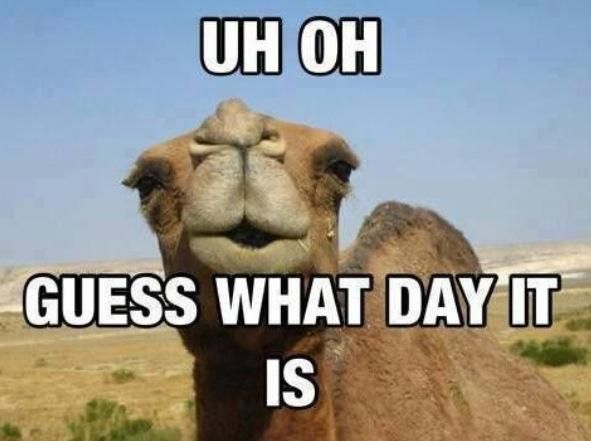 photo Wednesdaybump_zps0754831c.jpeg