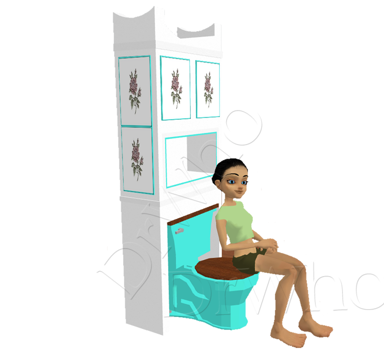 DrWho Aqua Toilet
