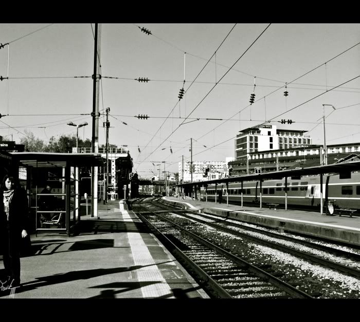 [PHOTO] Entre un Train et un Tram...