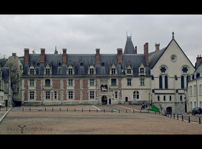 [PHOTO] Le château de Blois