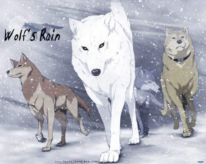 Wolfs-rain.jpg