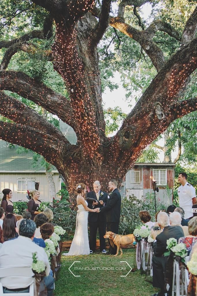 Wedding Ceremony at Oak Tree Manor Spring Texas under Big Oak Tree