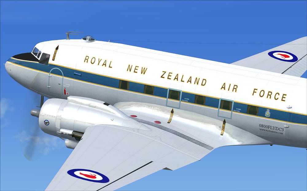 NZ3546_5.jpg