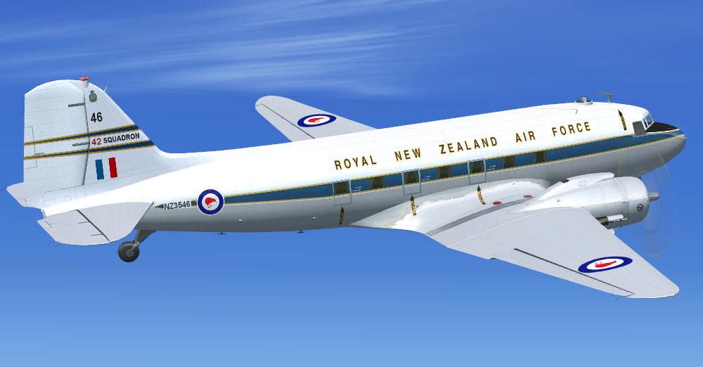 NZ3546_6.jpg