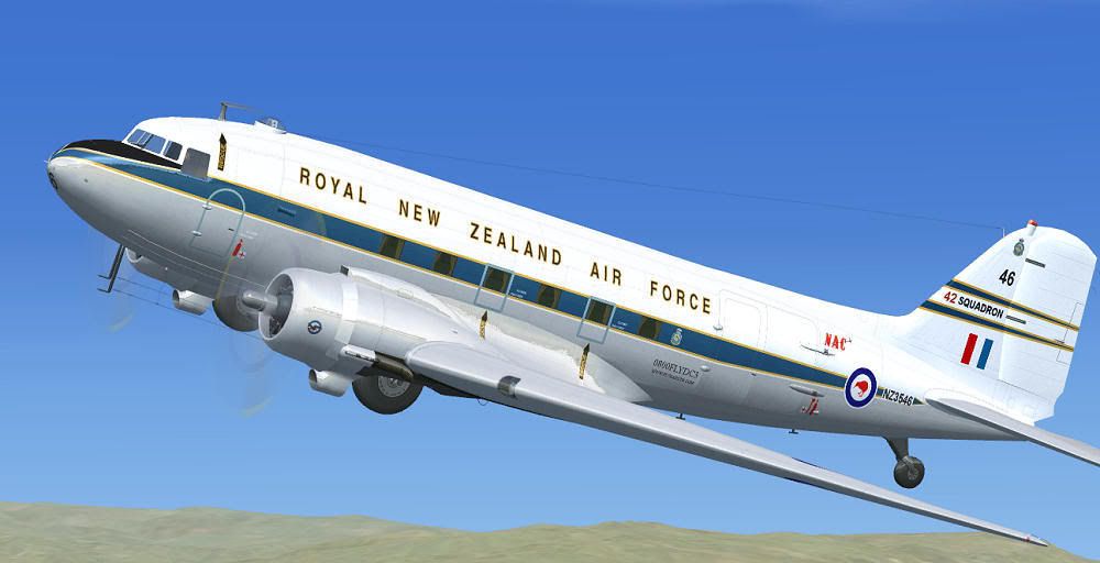 NZ3546_7.jpg