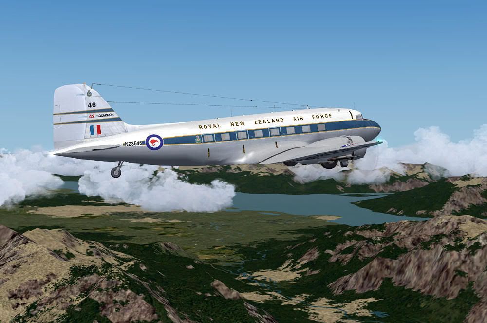 nz3546_14.jpg