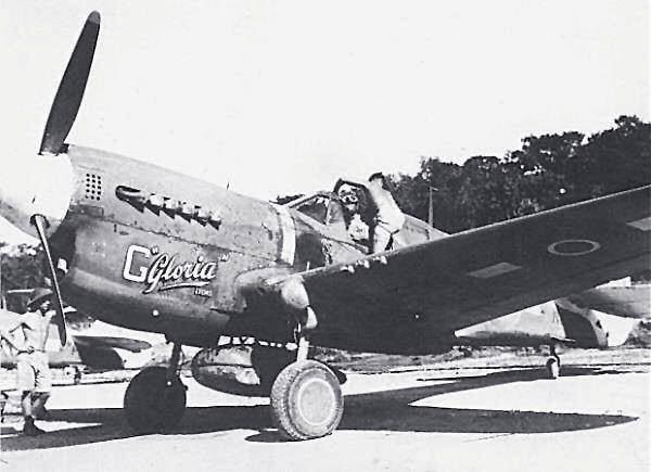 p40gl.jpg