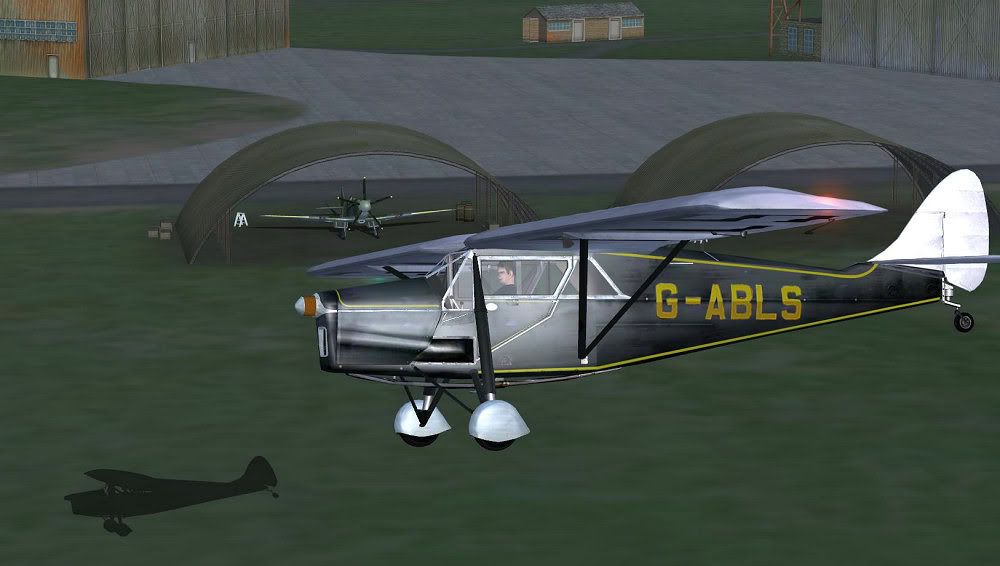 pussmoth1.jpg