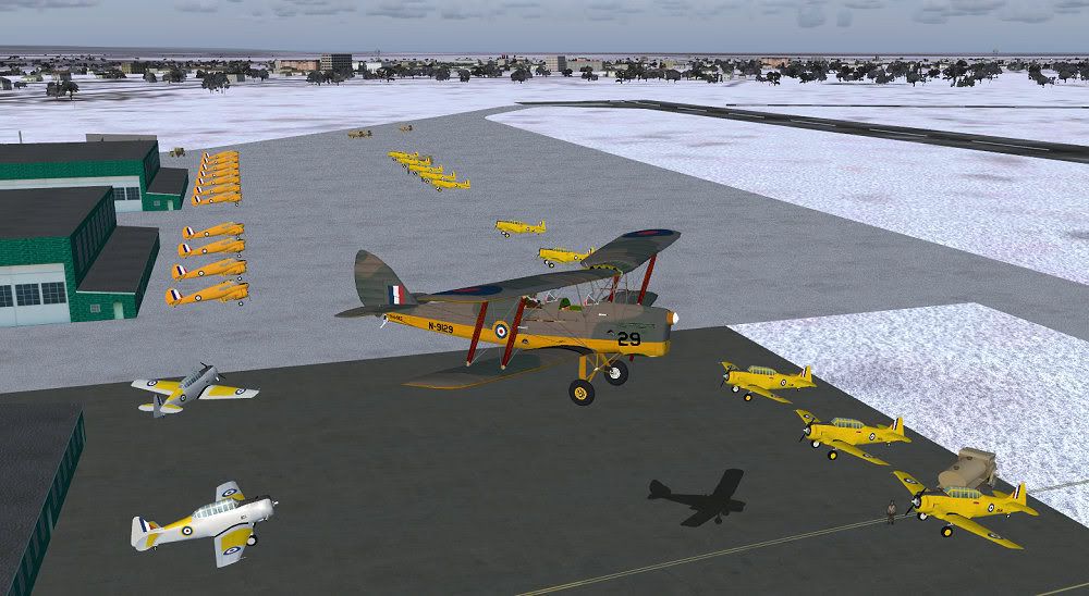 tigermoth2.jpg