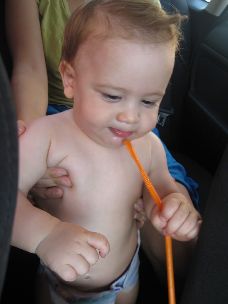 IMG_5875.jpg picture by shifuland