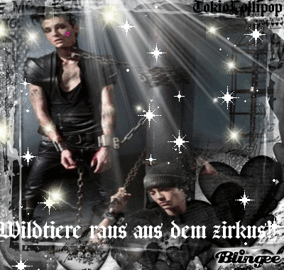Bill and Tom Kaulitz Pictures, Images and Photos