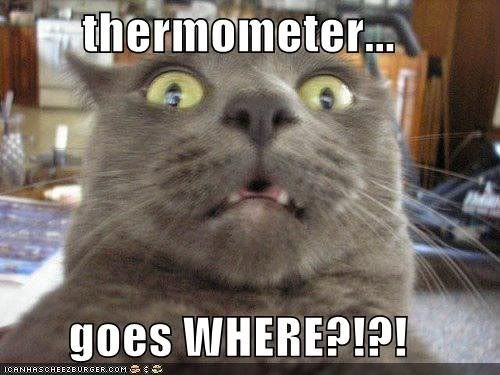 Thermometer..