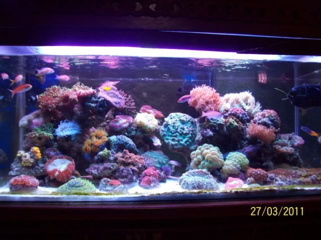 fts27mar11.jpg