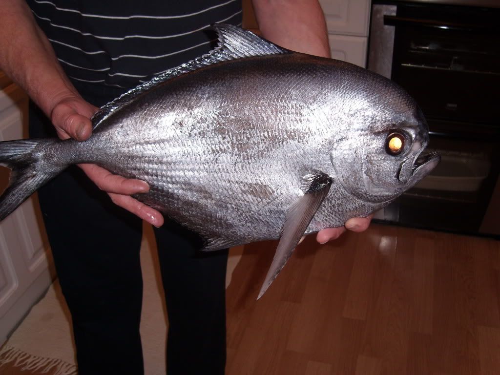 SL270815.jpg