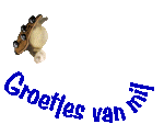 schildpad groetjes