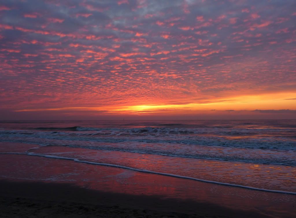 cartoon sunset on beach. cartoon, Beach+sunset+love