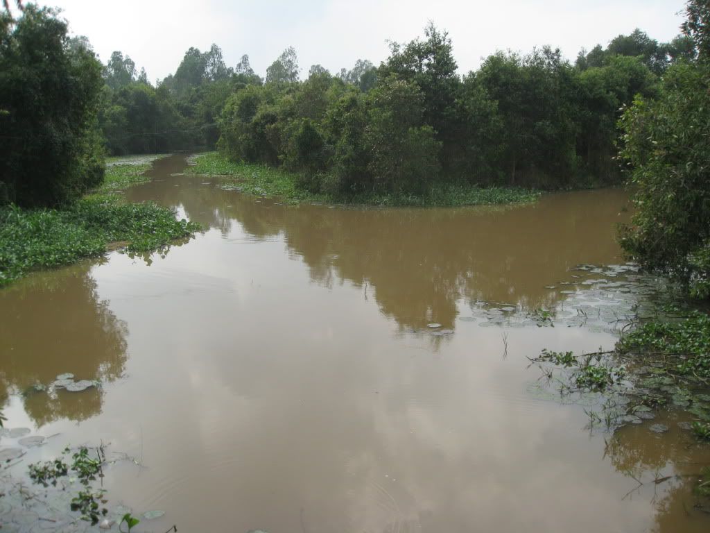 Ký sự câu cá Mộc Hóa - 17