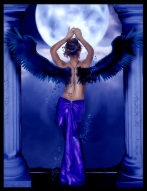 Angel with black wings Pictures, Images and Photos