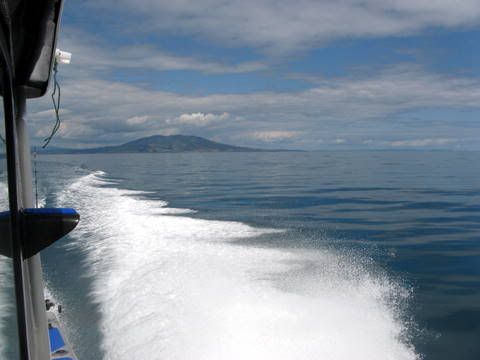 raglan 3 11 10 the fishing website discussion forums raglan 3 11 10 the fishing website discussion forums