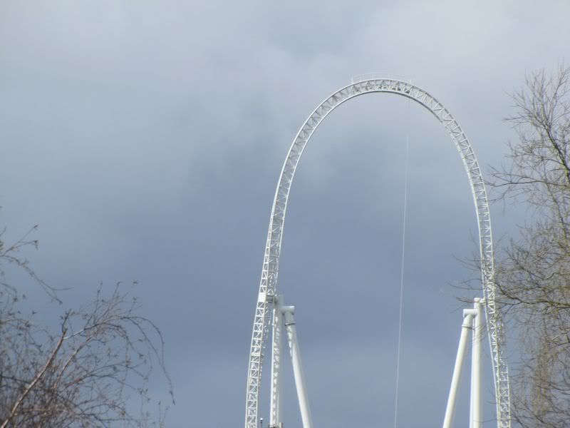 IMG_2526.jpg