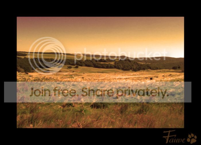 [HISTOIRE ET PATRIMOINE] Aubrac