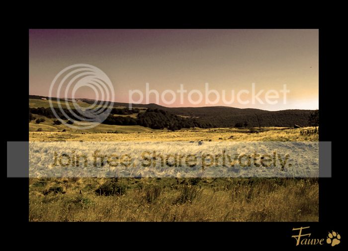[HISTOIRE ET PATRIMOINE] Aubrac