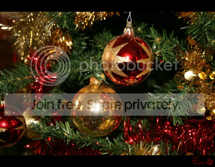 [PHOTO] Déco de Noël !