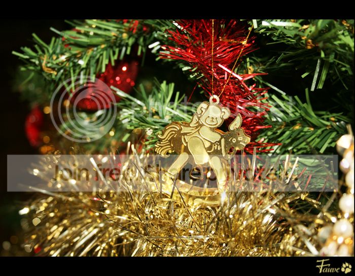 [PHOTO] Déco de Noël !