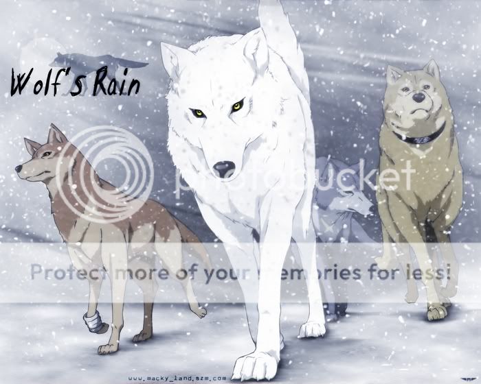 Wolfs-rain.jpg