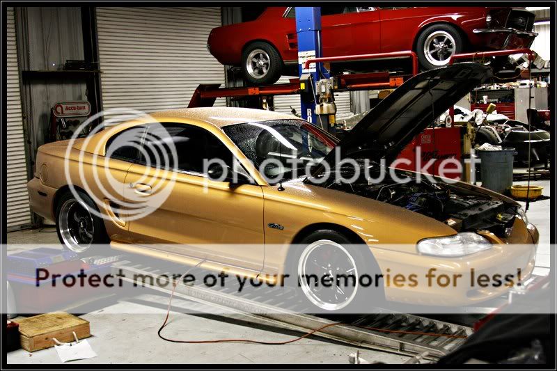 1997 Ford mustang gt aztec gold #7