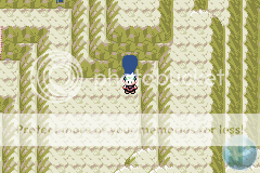 [Resim: route115b.png?t=1247602442]